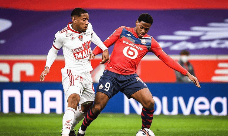 不仅对他个 不仅对他个